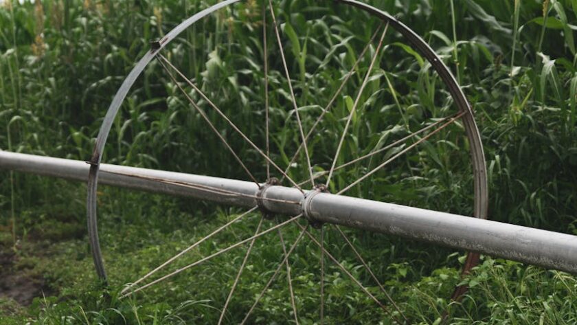irrigation et réparation de systèmes darrosage